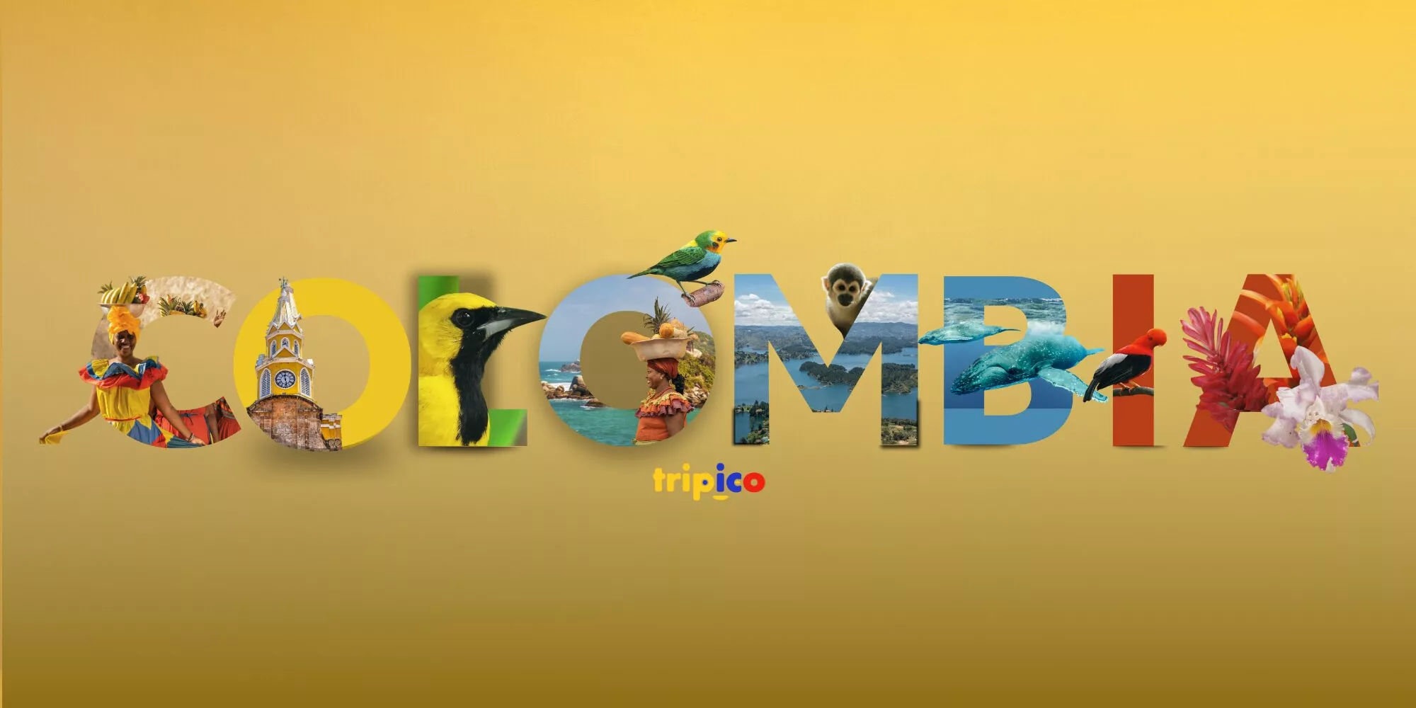 Reizen naar Colombia Een kleurrijk en avontuurlijk reisland vol natuur, cultuur en gastvrijheid – ontdek de magie van Colombia!
